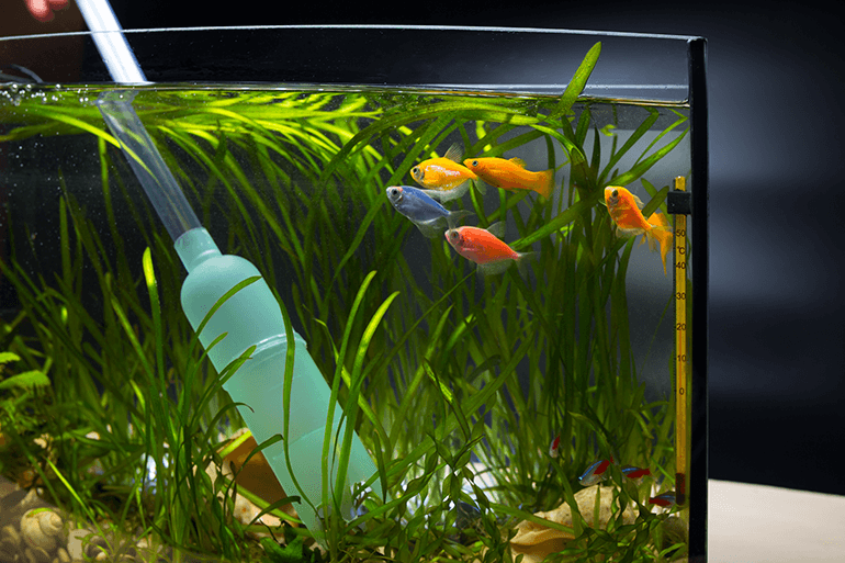 Produits pour poissons Découvrez vos jardinerie Jaïa